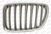 PRASCO BM7032034 Radiator Grille